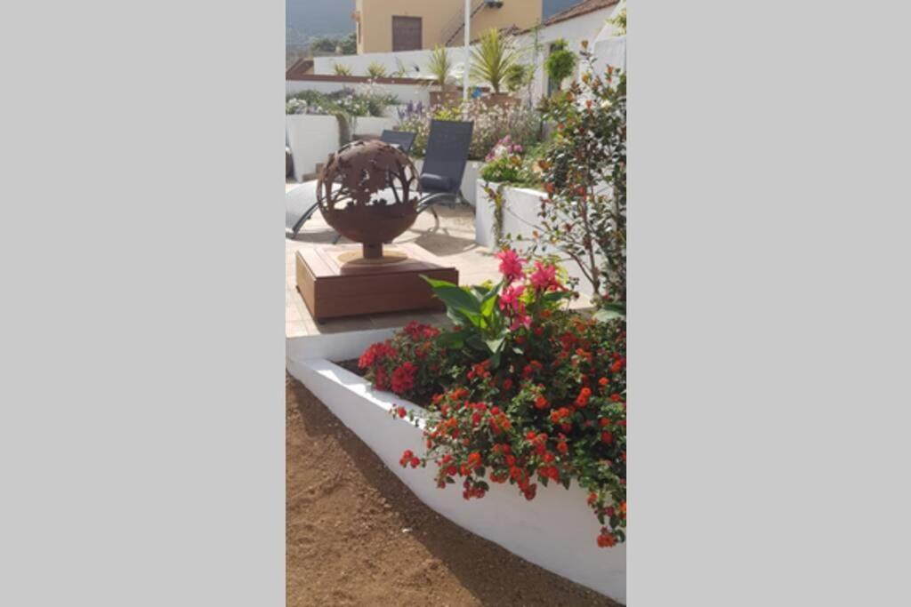 Casa Vina: A Spectacular Away From It All Holiday La Orotava Extérieur photo