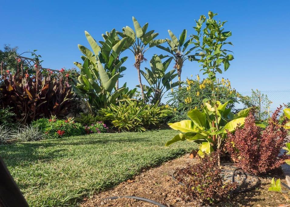 Casa Vina: A Spectacular Away From It All Holiday La Orotava Extérieur photo