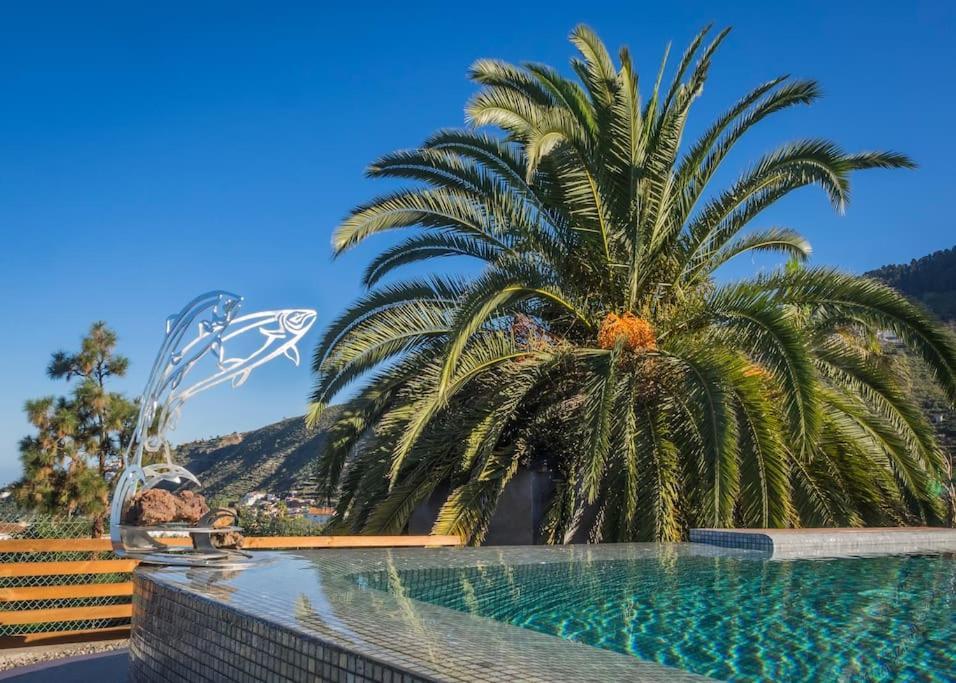Casa Vina: A Spectacular Away From It All Holiday La Orotava Extérieur photo