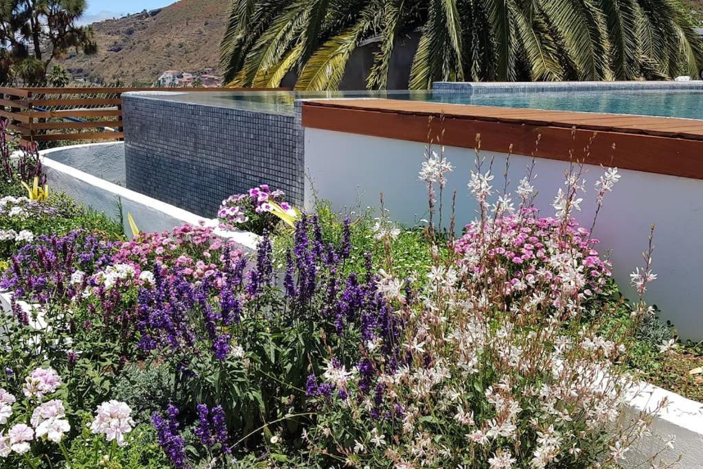 Casa Vina: A Spectacular Away From It All Holiday La Orotava Extérieur photo